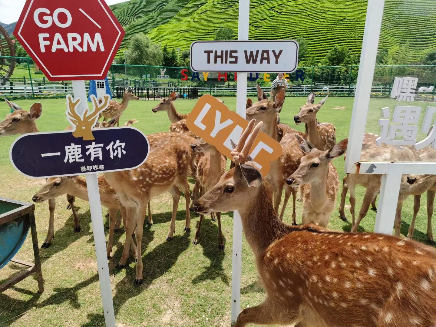 香港六宝典最新版开奖